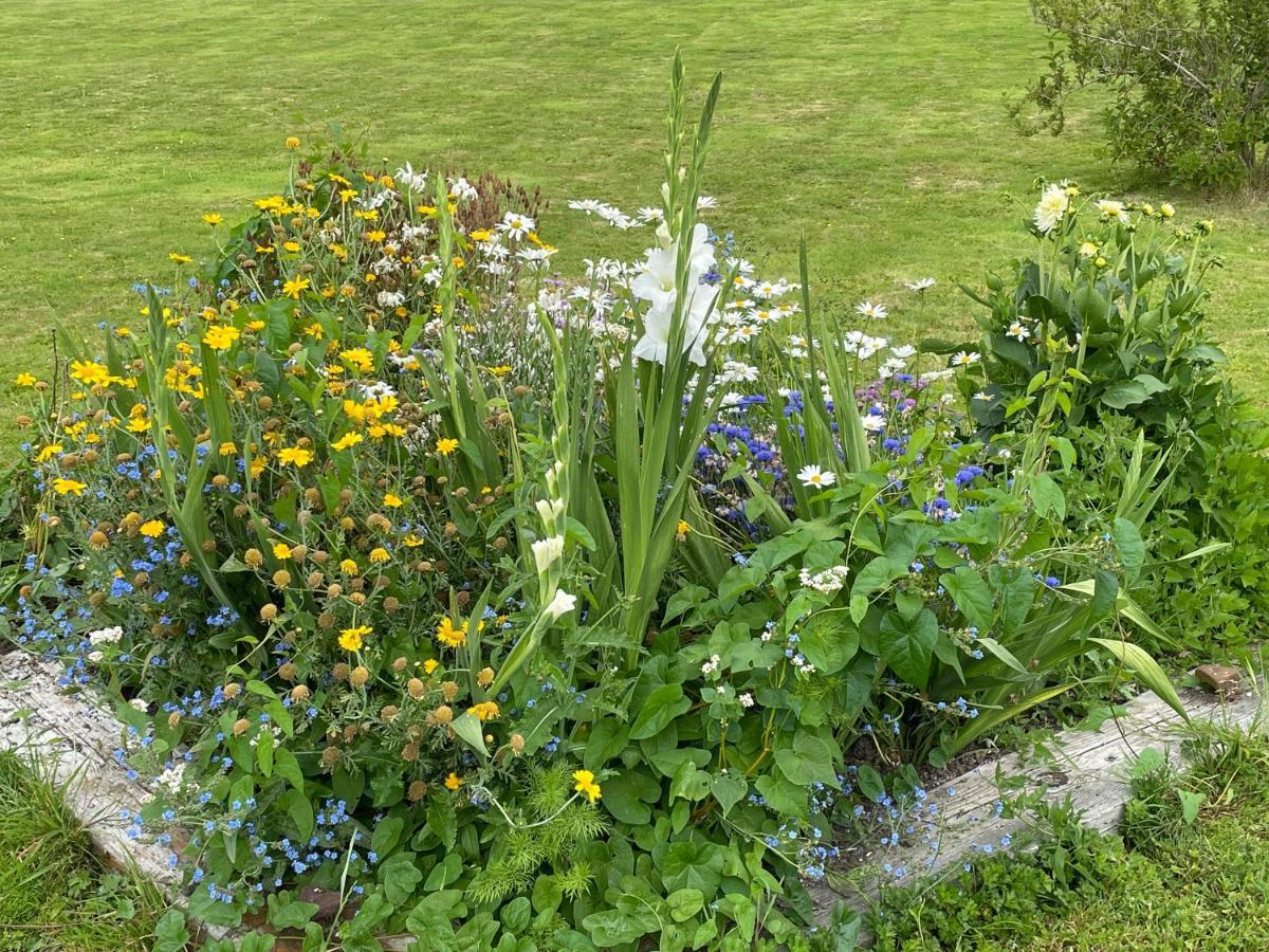 Bluebell Villa Glastonbury Bagian luar foto